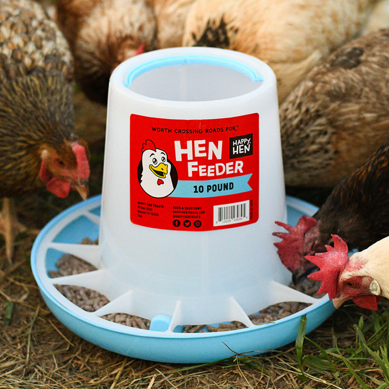 Chicken, Livestock, Feed, Feeder - Global Chemicals Malawi